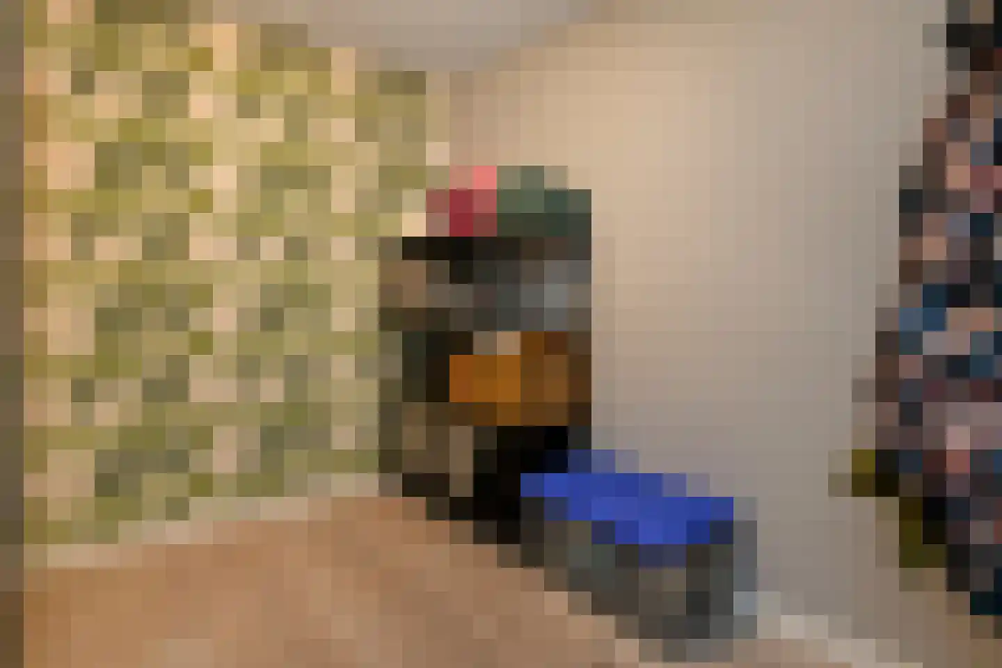 Zijlstraat 5 Elst thumbnail 17