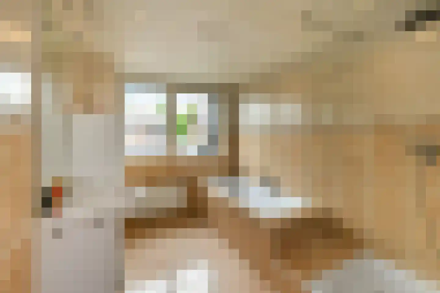 Zijlstraat 5 Elst thumbnail 18