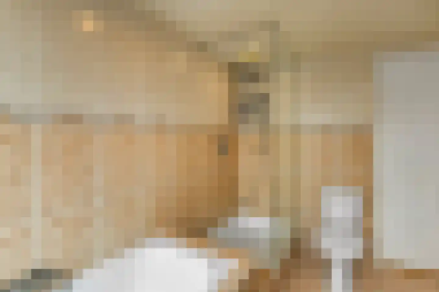 Zijlstraat 5 Elst thumbnail 19