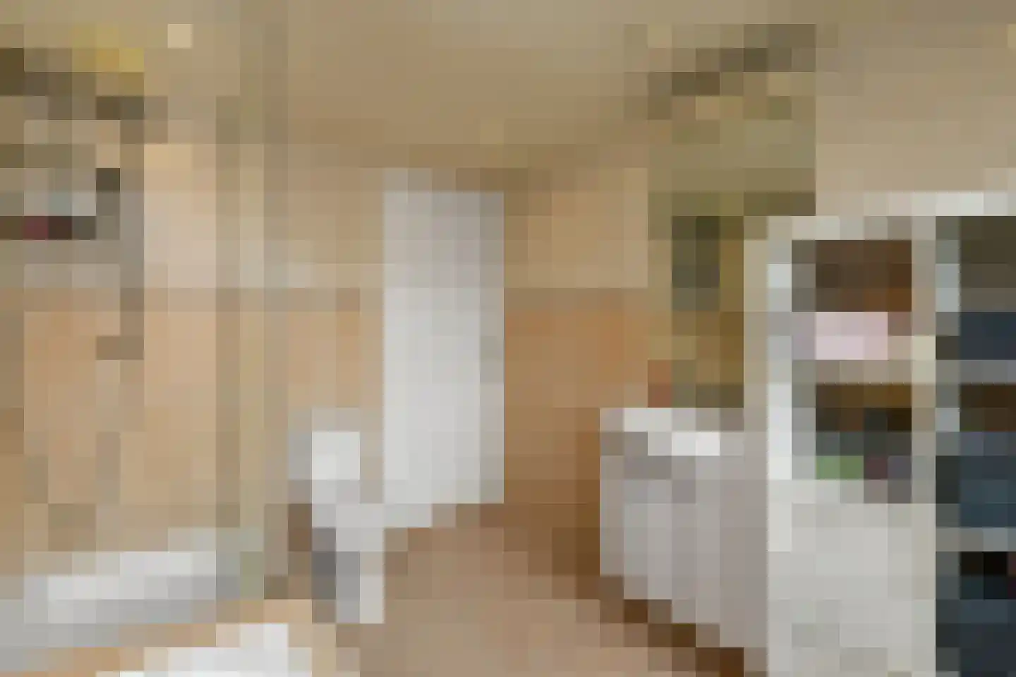 Zijlstraat 5 Elst thumbnail 20