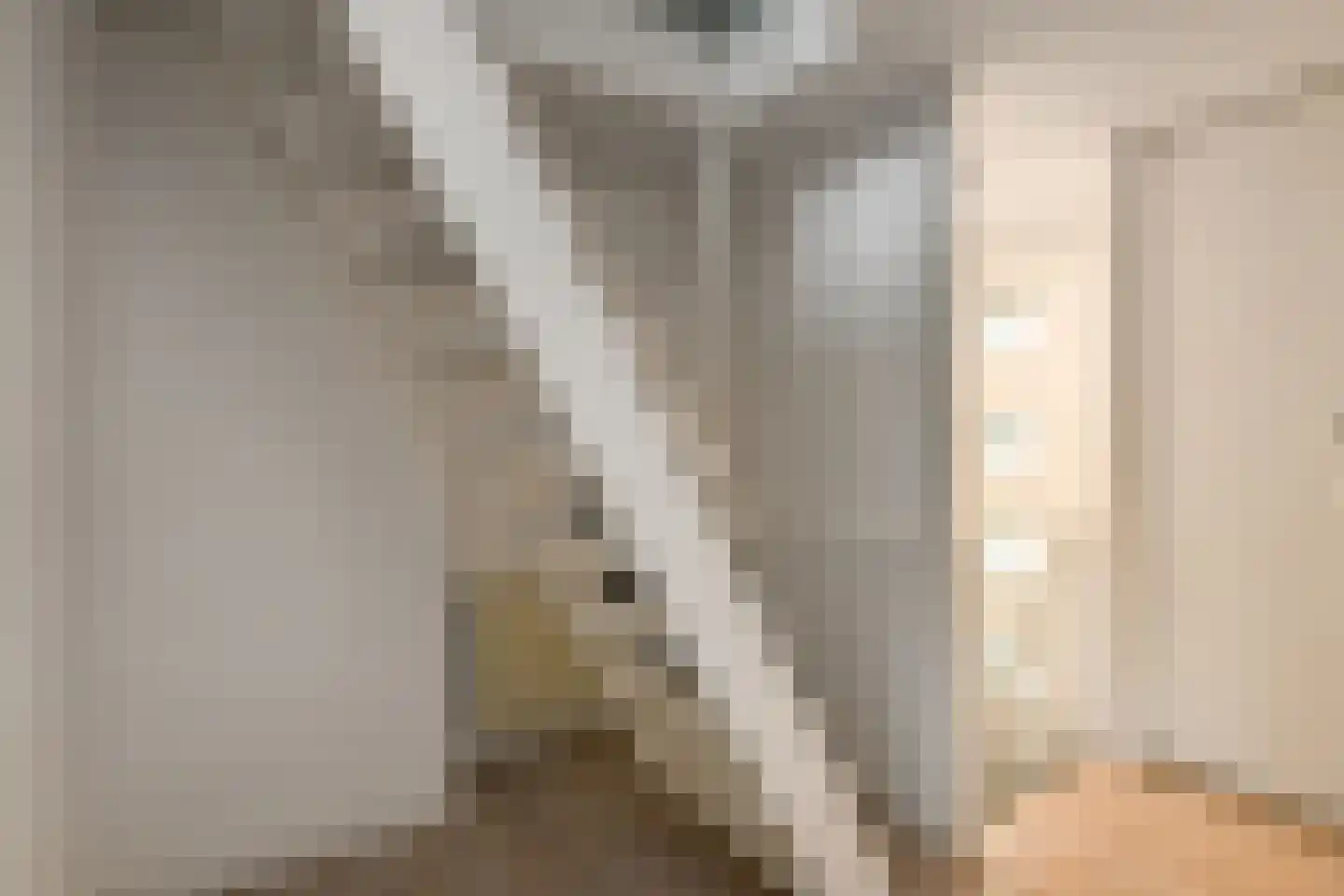Zijlstraat 5 Elst thumbnail 21