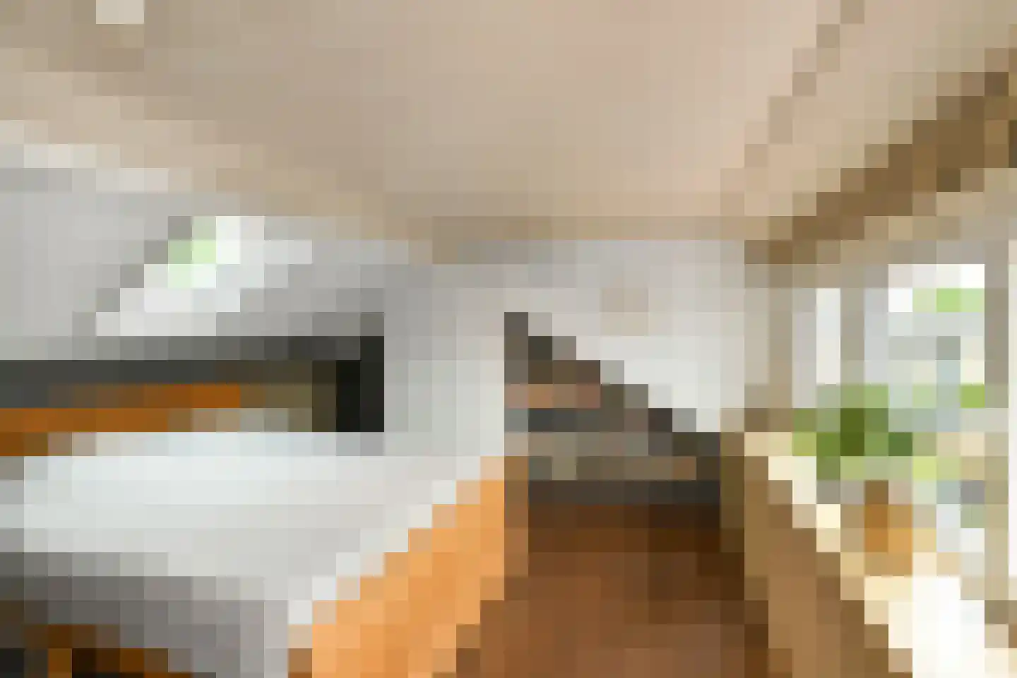 Zijlstraat 5 Elst thumbnail 22
