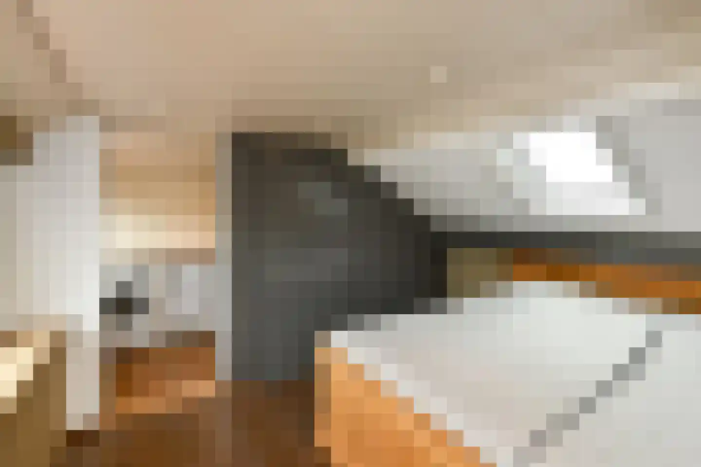 Zijlstraat 5 Elst thumbnail 23