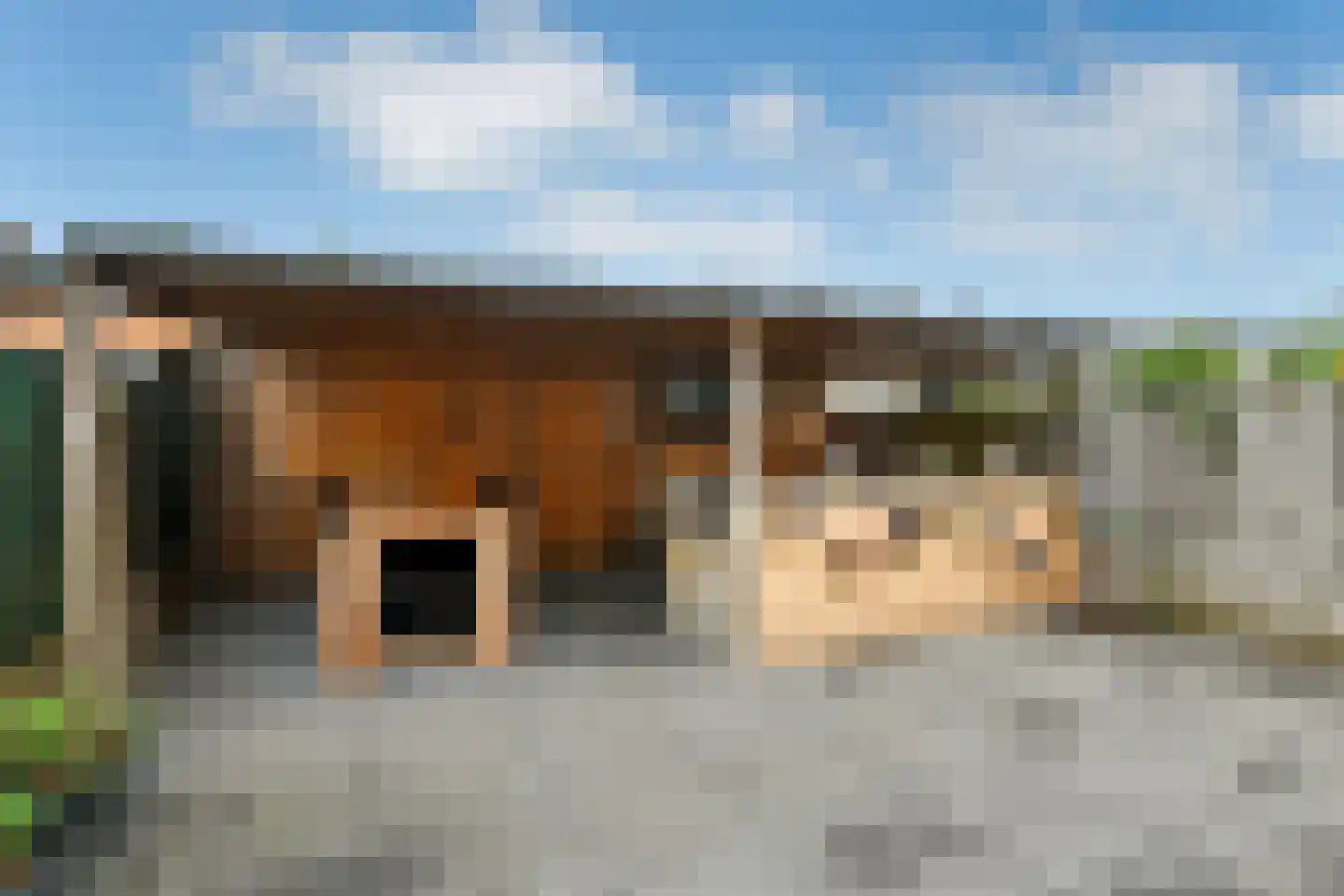 Zijlstraat 5 Elst thumbnail 26
