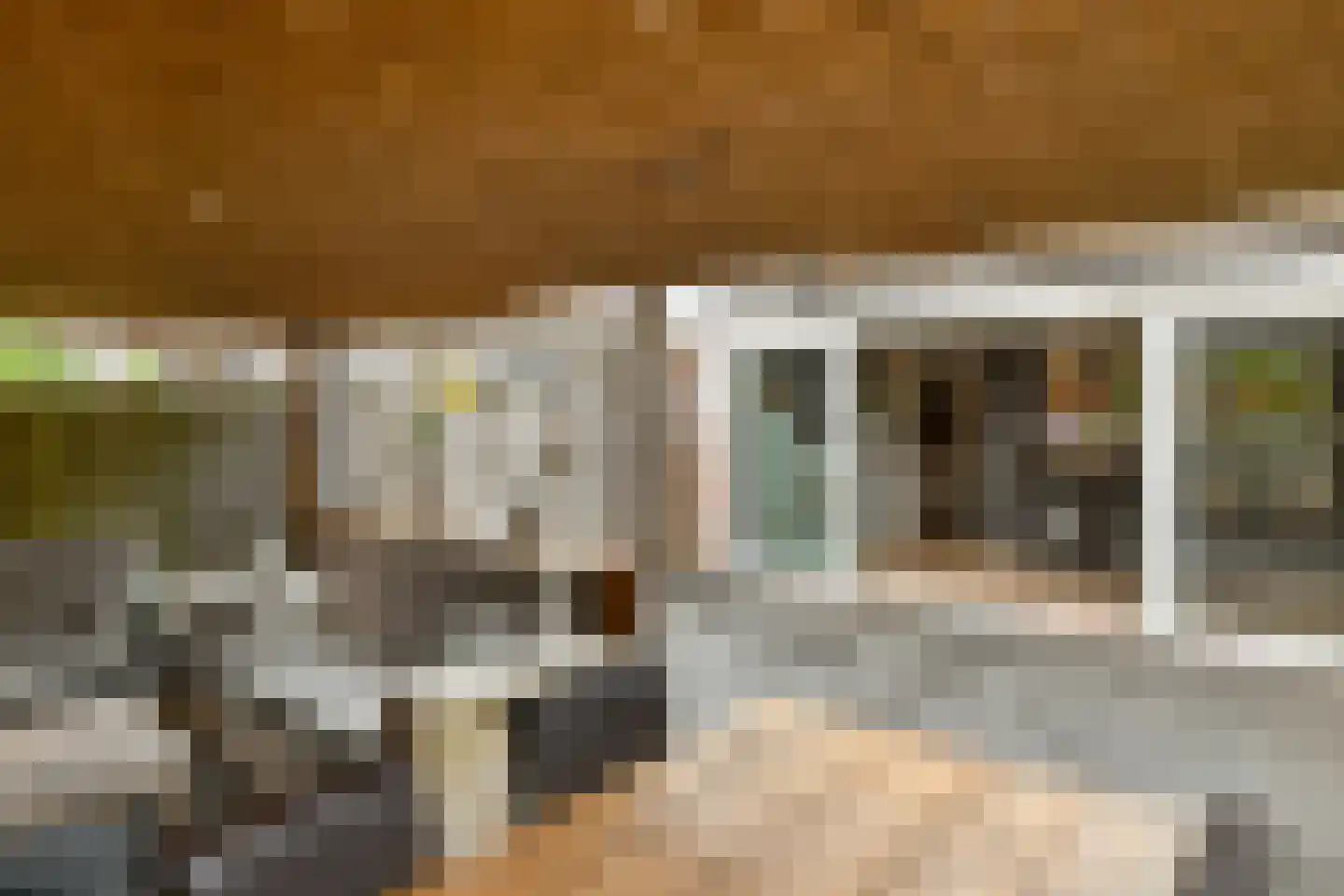Zijlstraat 5 Elst thumbnail 30