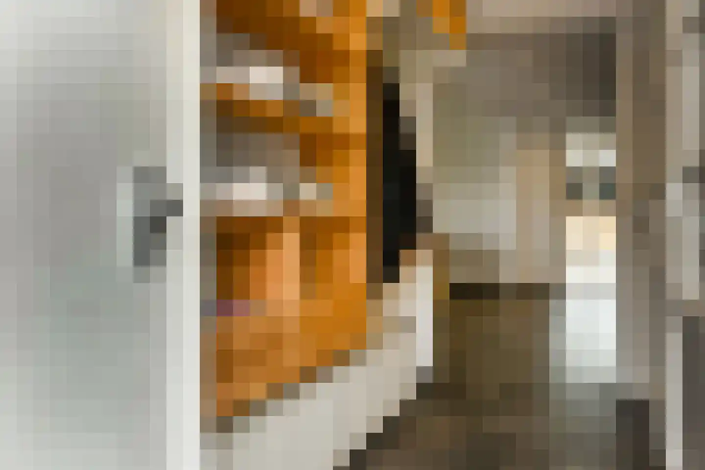 Zijlstraat 5 Elst thumbnail 4
