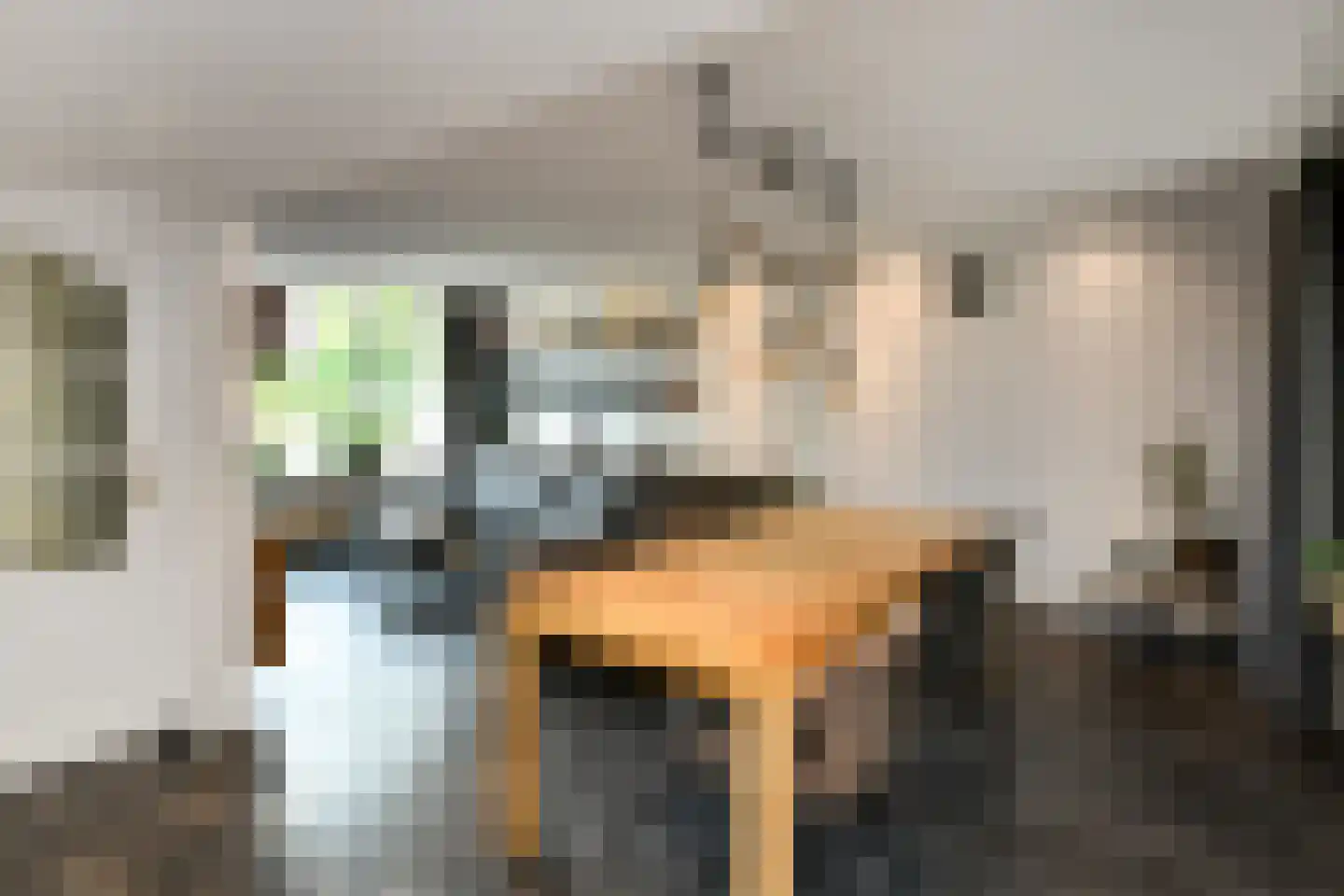 Zijlstraat 5 Elst thumbnail 5