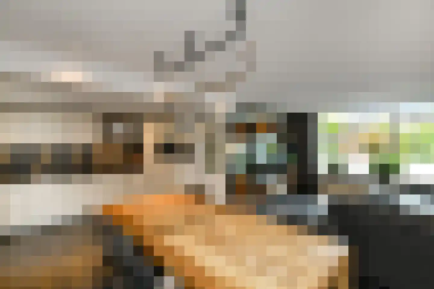Zijlstraat 5 Elst thumbnail 9