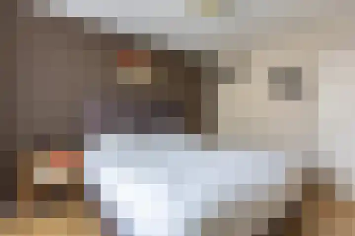 Zijlstralaan 39 Vlijmen thumbnail 17