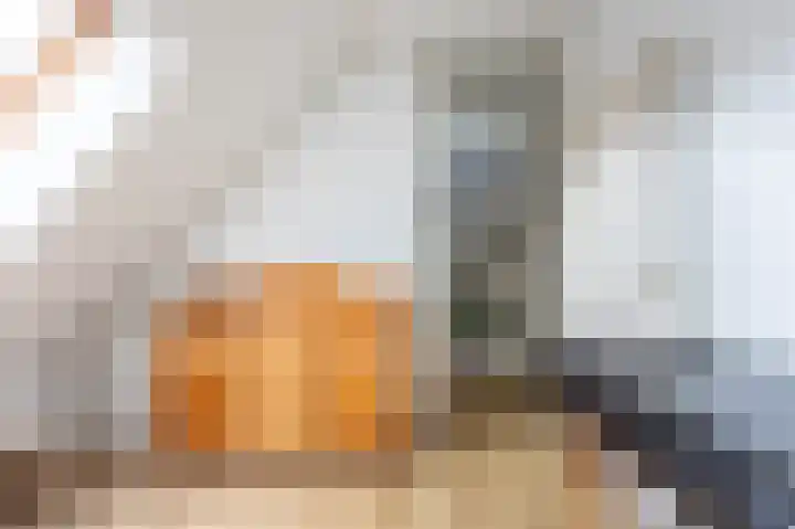 Zijlstralaan 39 Vlijmen thumbnail 20