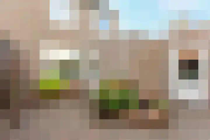 Zijlstralaan 39 Vlijmen thumbnail 24