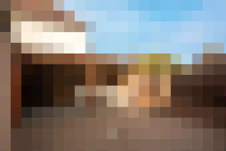 Zijlstralaan 39 Vlijmen thumbnail 27