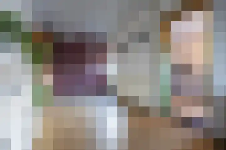 Zijlstralaan 39 Vlijmen thumbnail 4