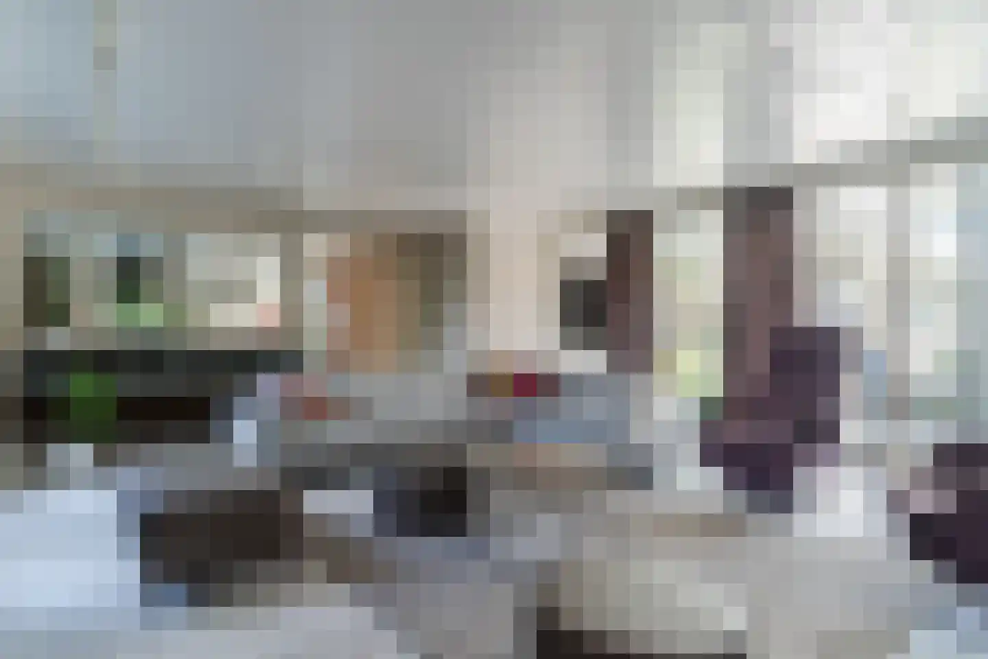 Zijlstralaan 6 Vlijmen thumbnail 10