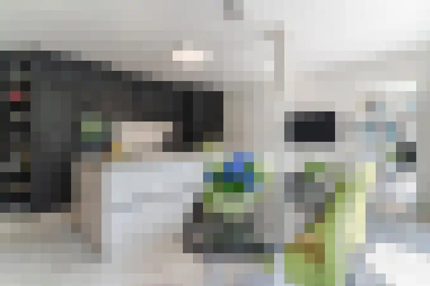 Zijlstralaan 6 Vlijmen thumbnail 16