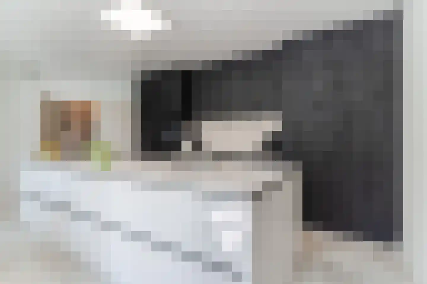 Zijlstralaan 6 Vlijmen thumbnail 17