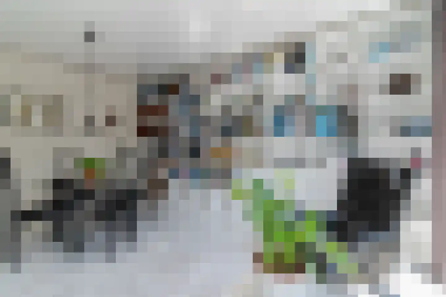 Zijlstralaan 6 Vlijmen thumbnail 20
