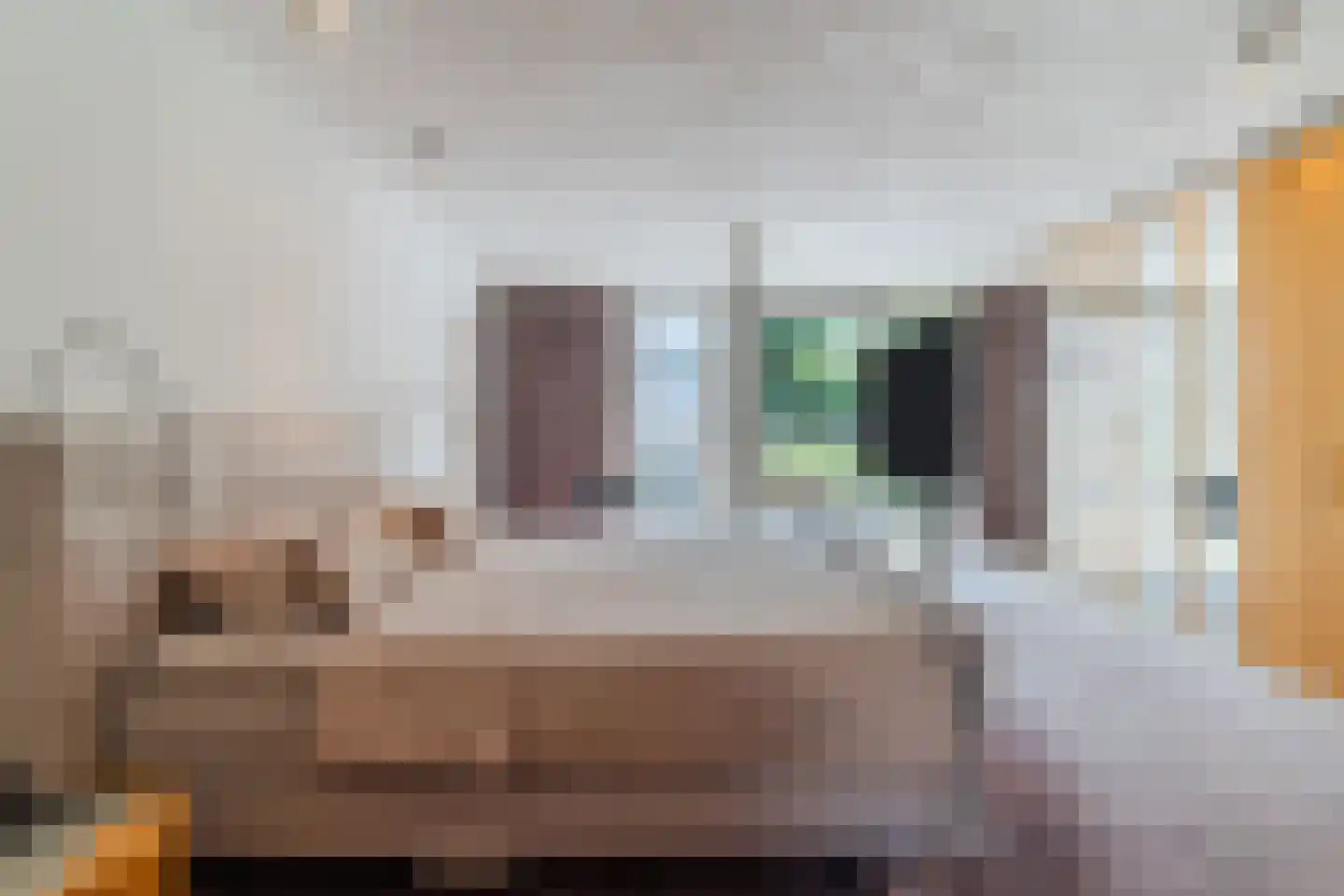 Zijlstralaan 6 Vlijmen thumbnail 24