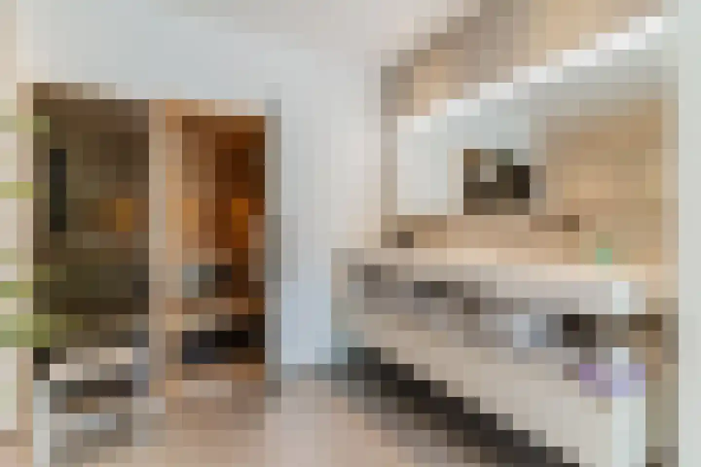 Zijlstralaan 6 Vlijmen thumbnail 28