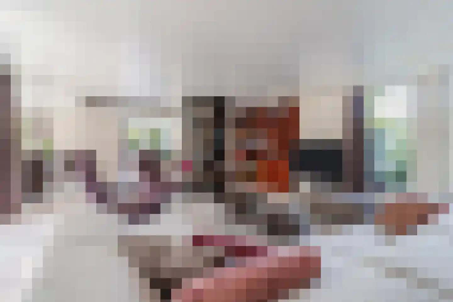 Zijlstralaan 6 Vlijmen foto 3