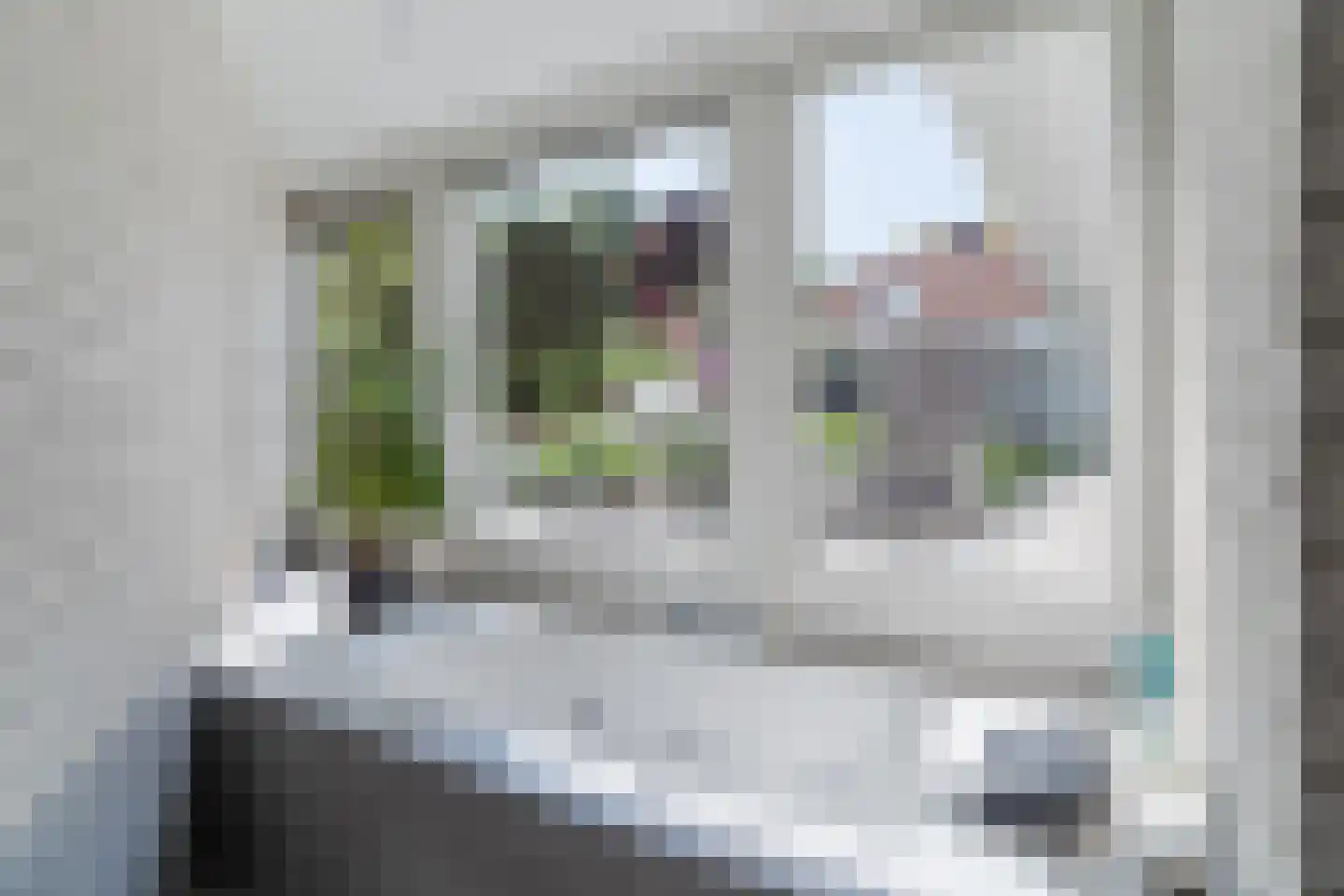 Zijlstralaan 6 Vlijmen thumbnail 32