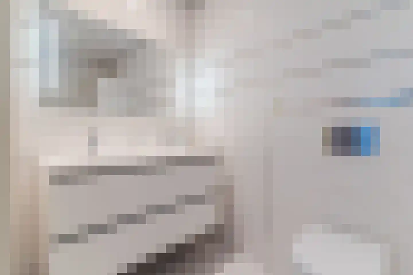 Zijlstralaan 6 Vlijmen thumbnail 35