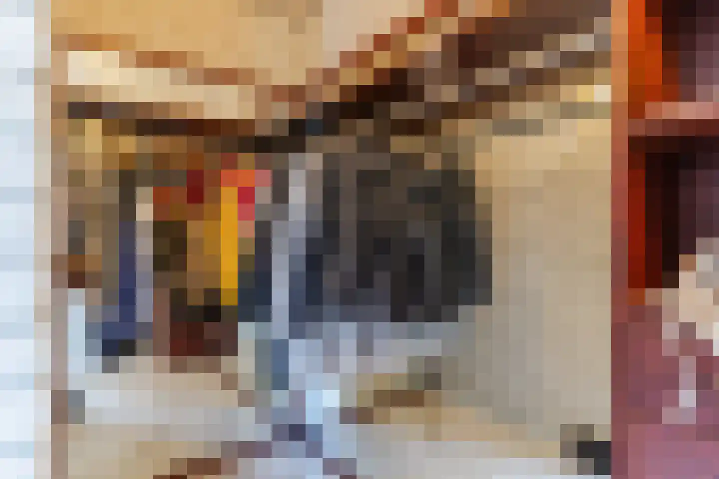 Zijlstralaan 6 Vlijmen thumbnail 38