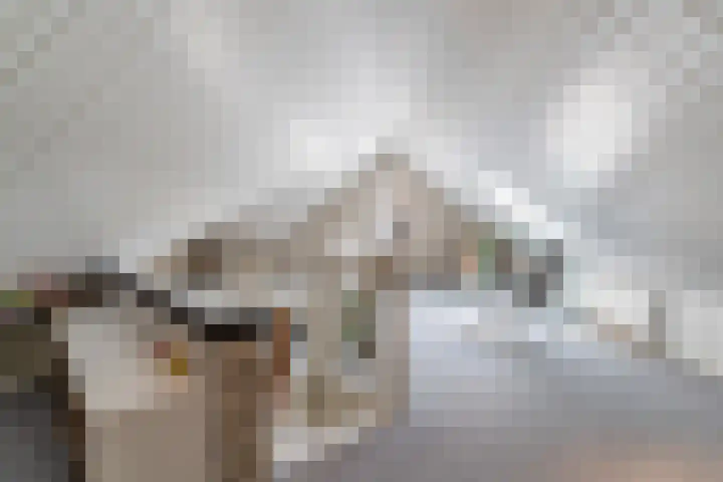 Zijlstralaan 6 Vlijmen thumbnail 40