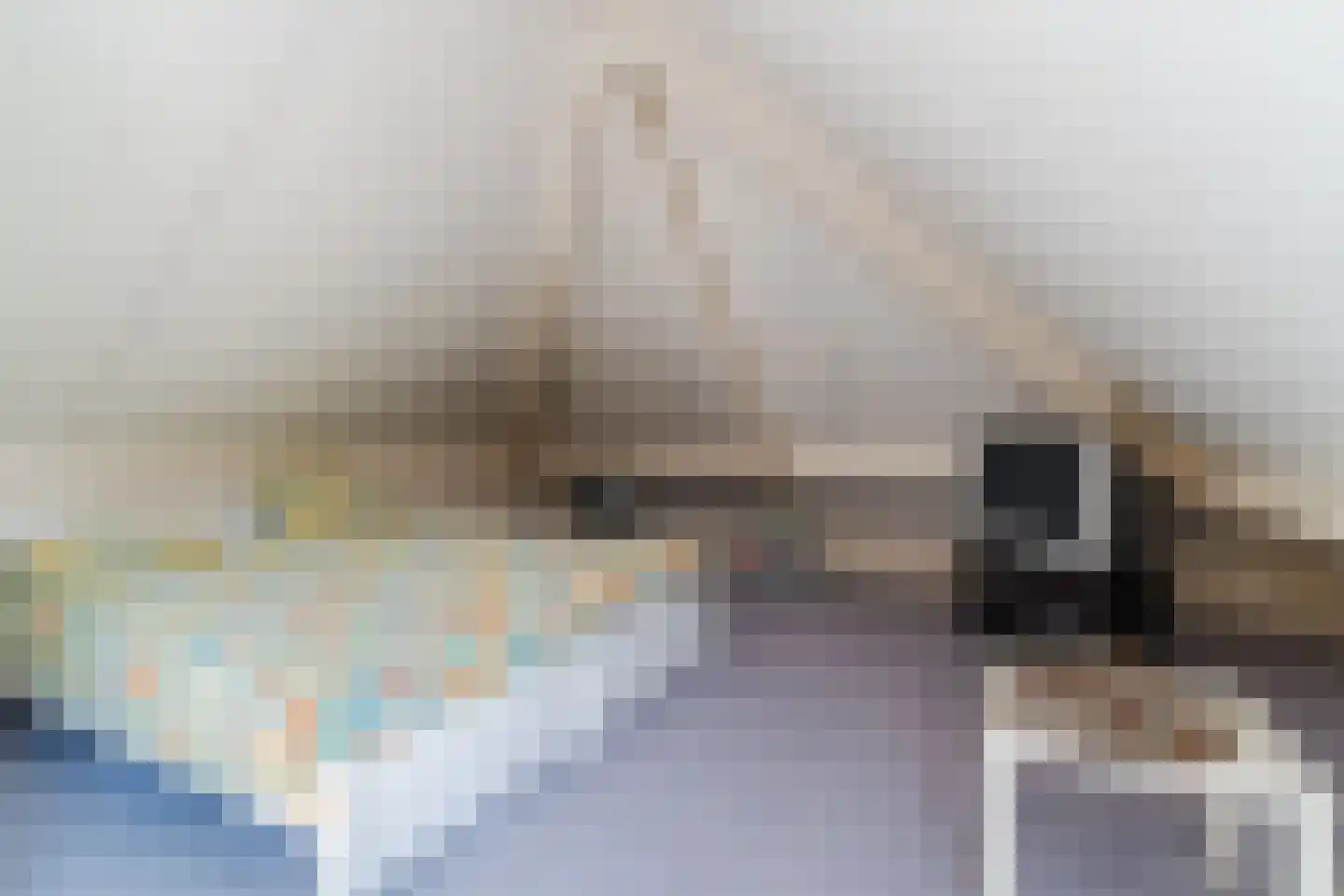 Zijlstralaan 6 Vlijmen thumbnail 43