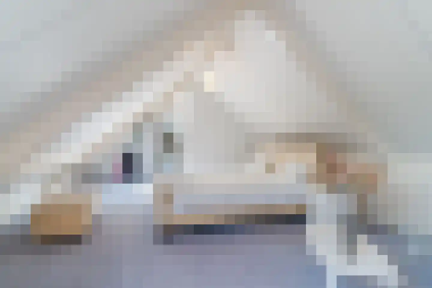 Zijlstralaan 6 Vlijmen thumbnail 44