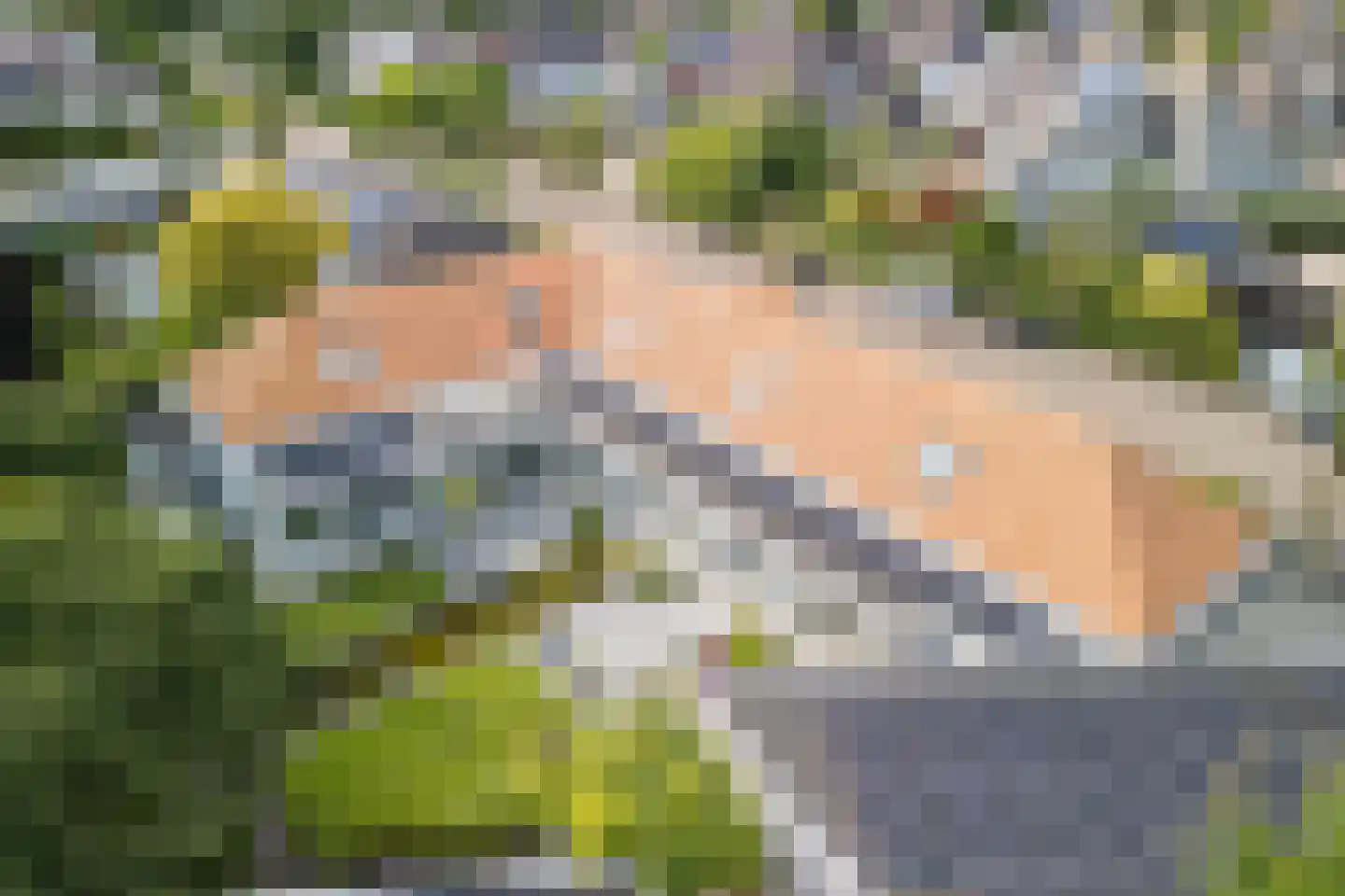 Zijlstralaan 6 Vlijmen thumbnail 5