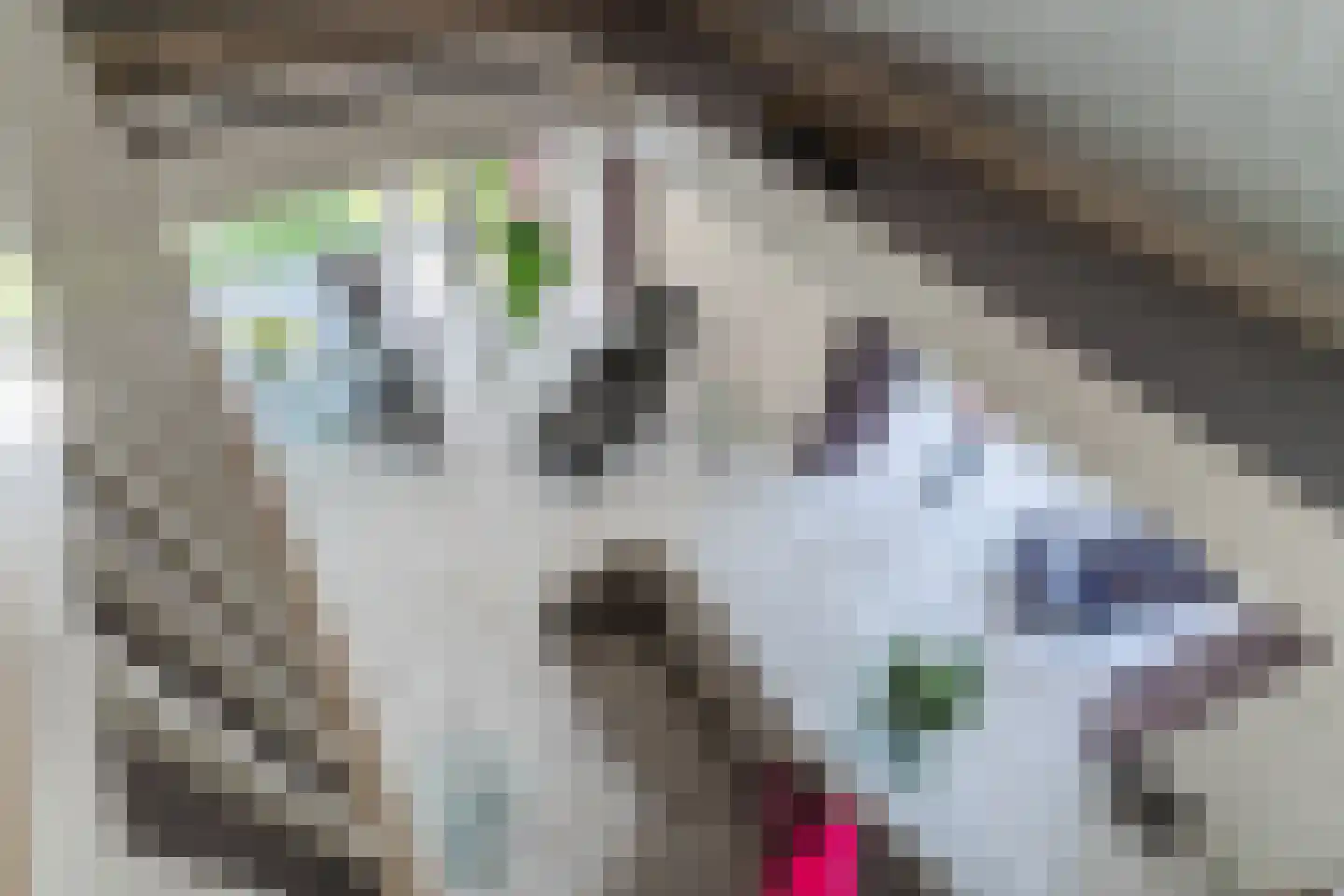 Zijlstralaan 6 Vlijmen thumbnail 50