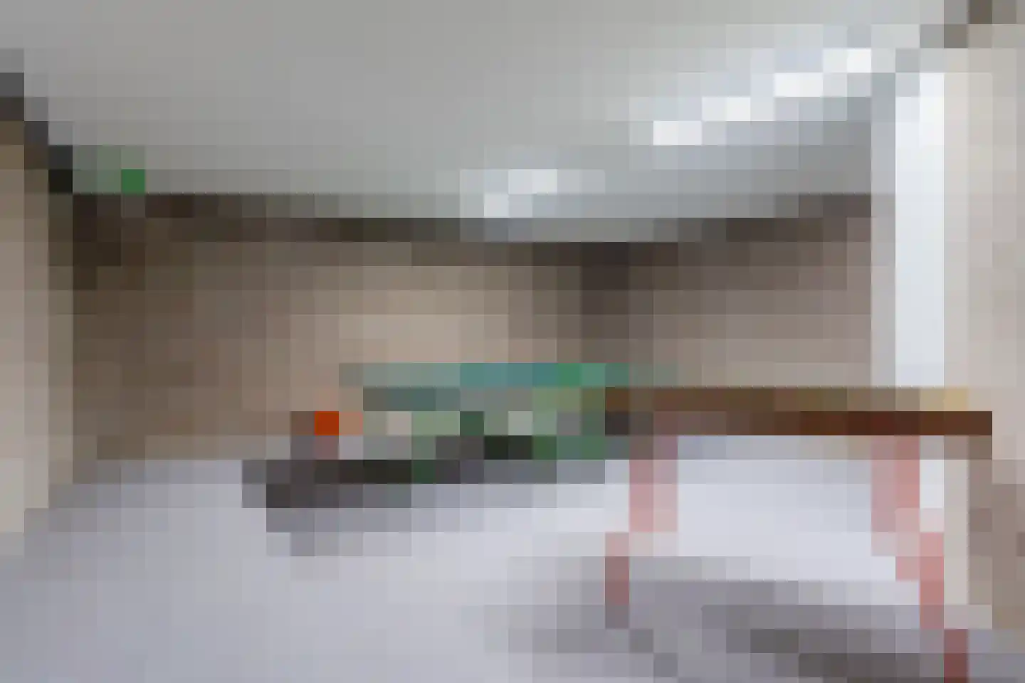 Zijlstralaan 6 Vlijmen thumbnail 52