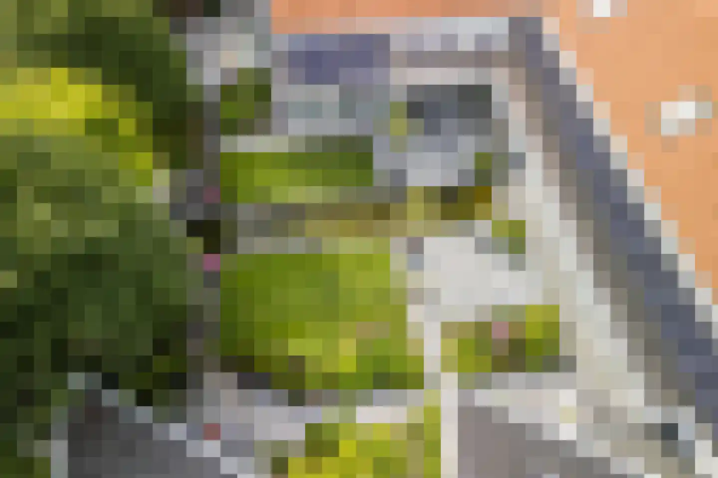 Zijlstralaan 6 Vlijmen thumbnail 53