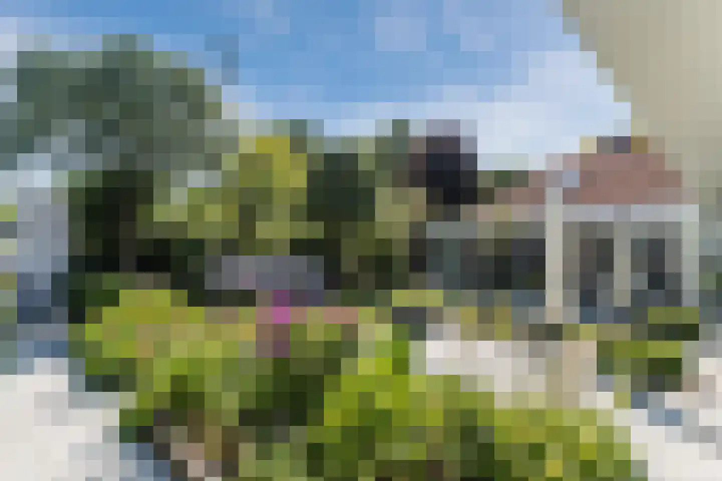 Zijlstralaan 6 Vlijmen thumbnail 58