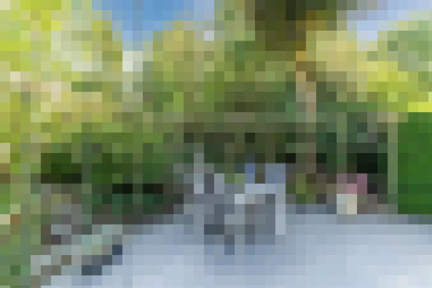 Zijlstralaan 6 Vlijmen thumbnail 61
