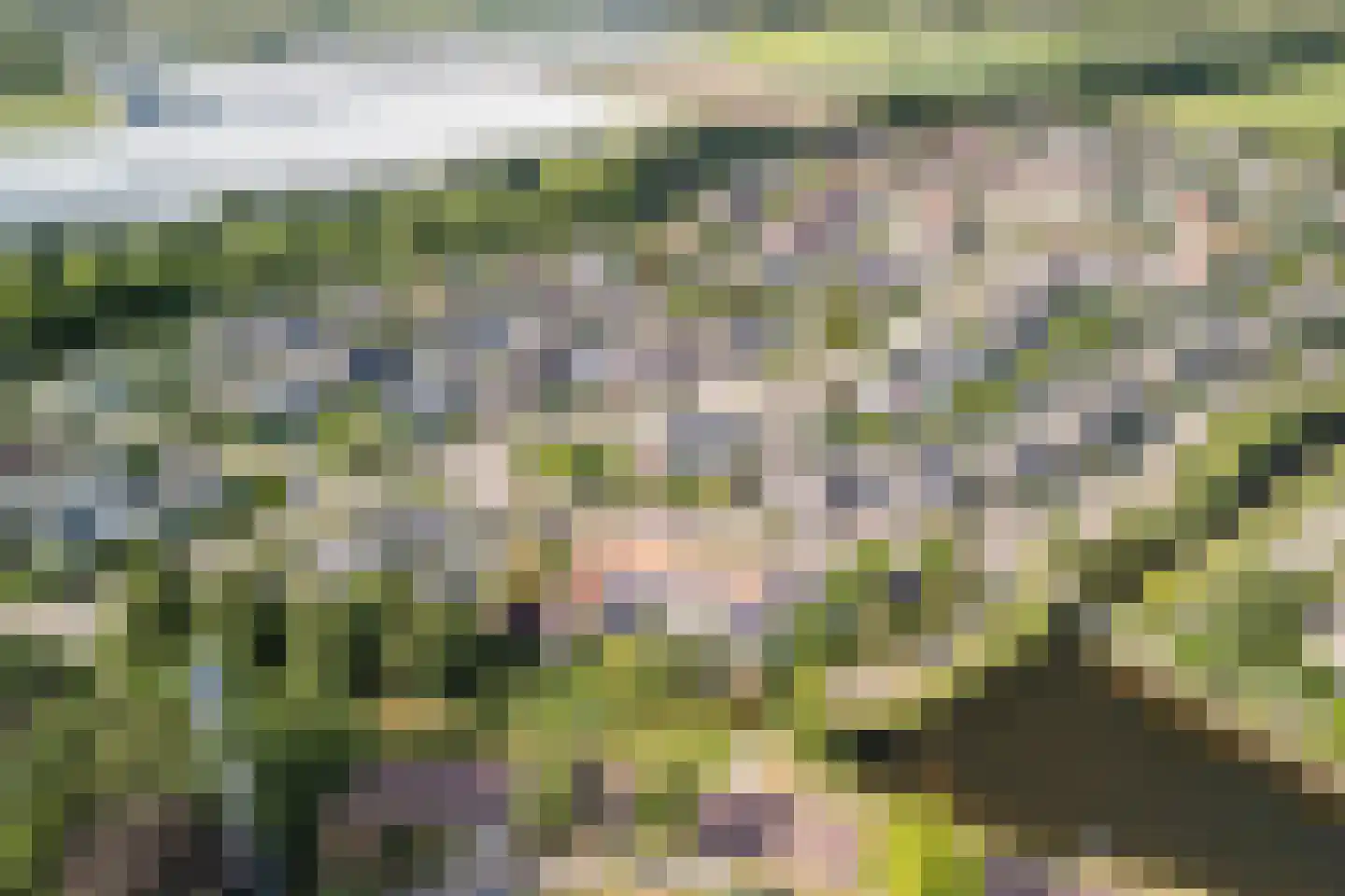 Zijlstralaan 6 Vlijmen thumbnail 63