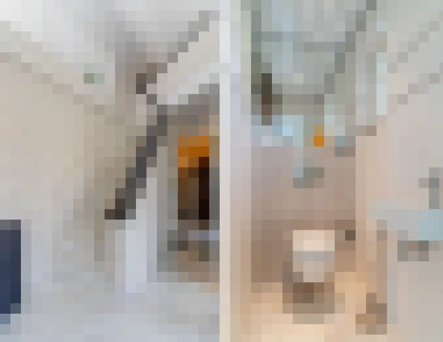 Zijlstralaan 6 Vlijmen thumbnail 9