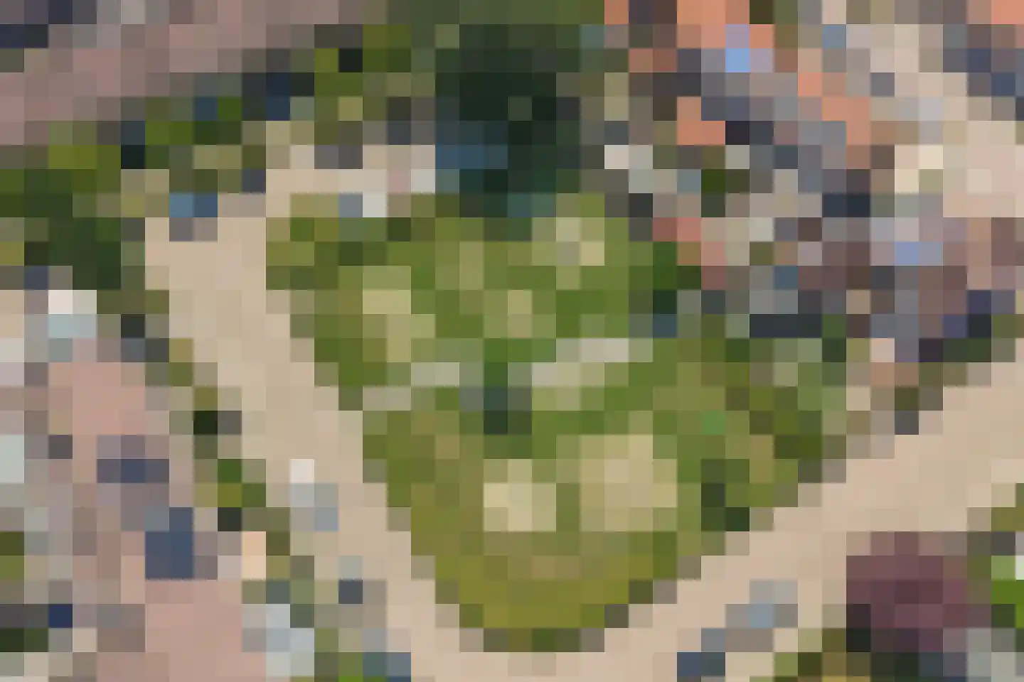 Zijlstraweg 37 Numansdorp thumbnail 39