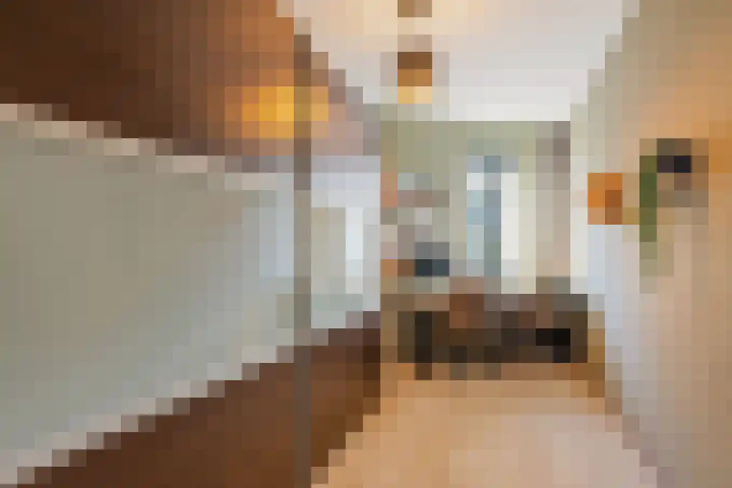 Zijlstroom 1 Leiderdorp thumbnail 22