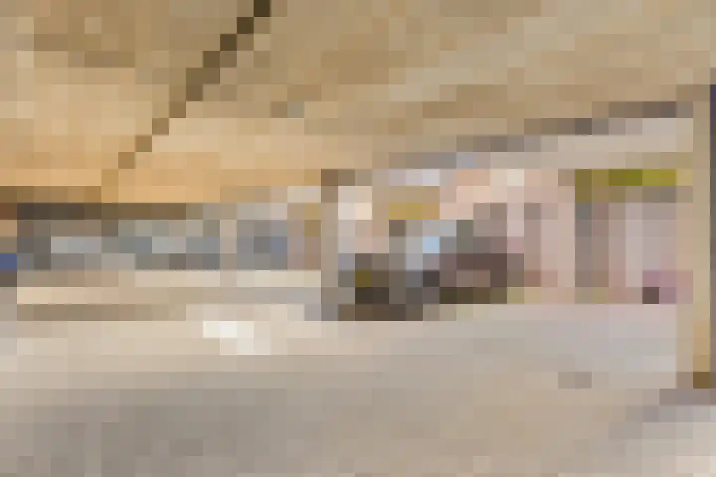 Zijlstroom 1 Leiderdorp thumbnail 29