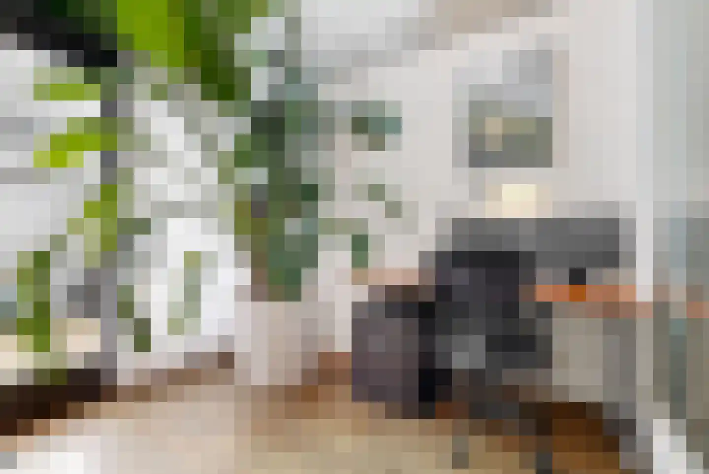 Zijlstroom 76 Leiderdorp thumbnail 17