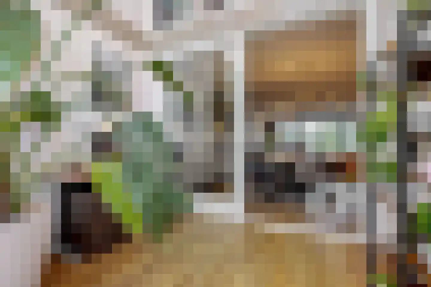 Zijlstroom 76 Leiderdorp thumbnail 18