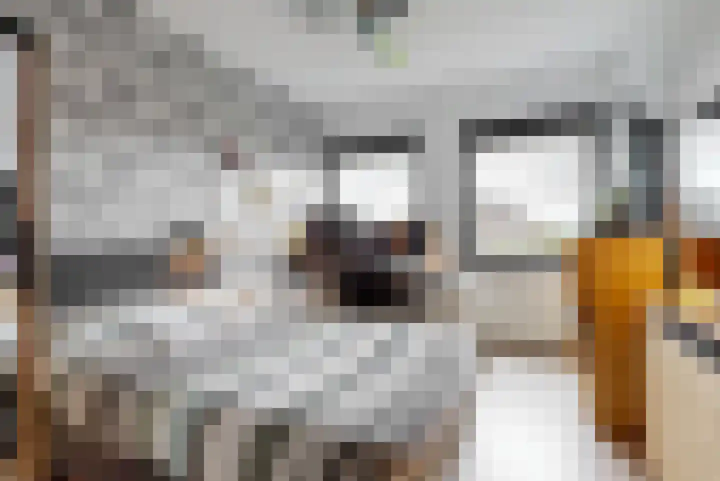 Zijlstroom 76 Leiderdorp thumbnail 25