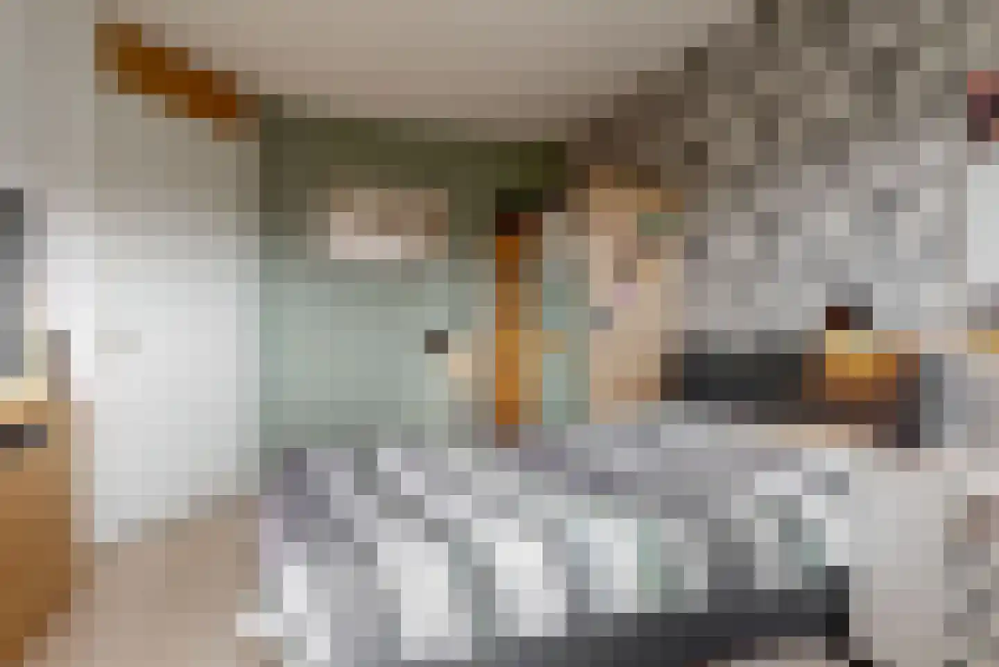 Zijlstroom 76 Leiderdorp thumbnail 26