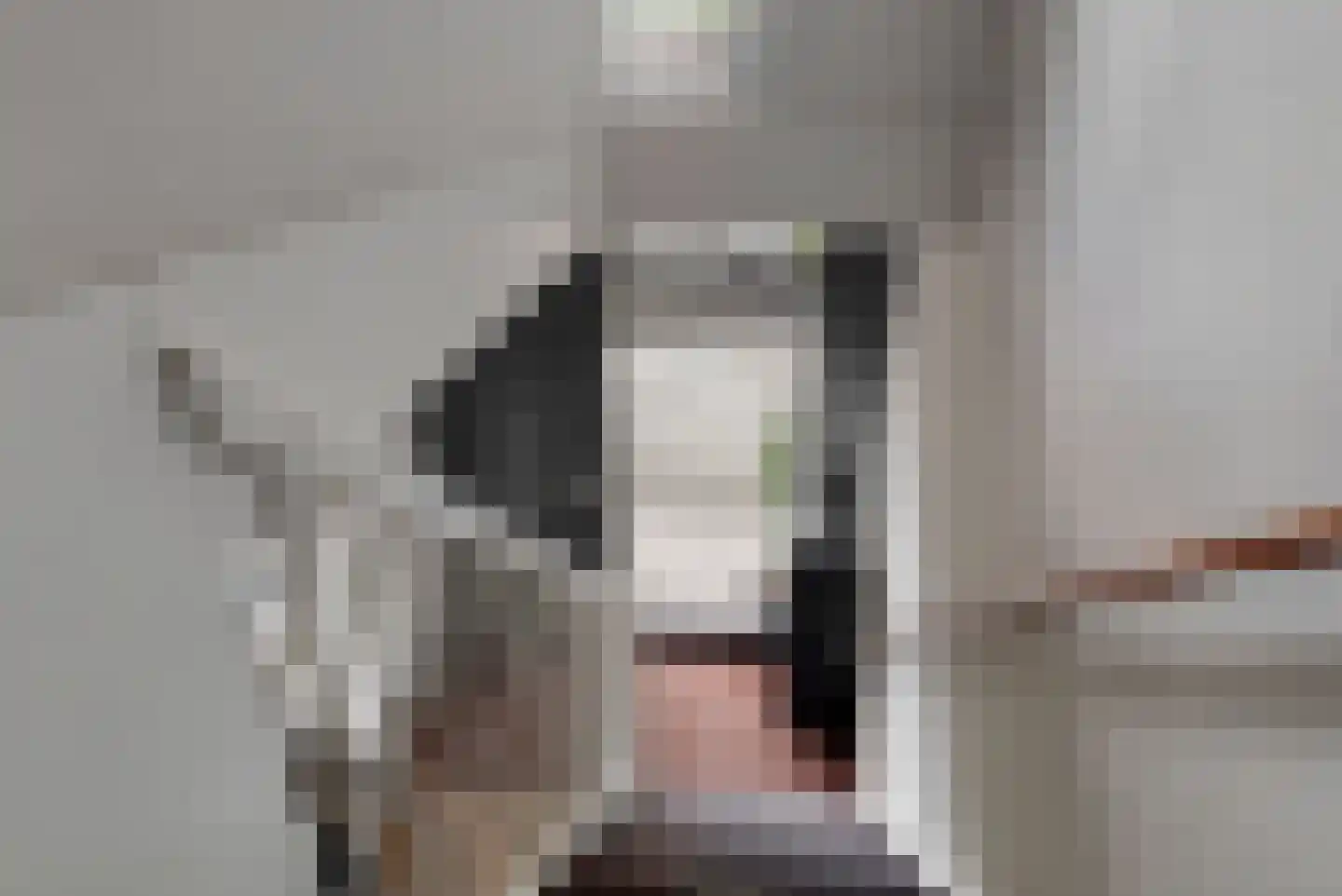 Zijlstroom 76 Leiderdorp thumbnail 6