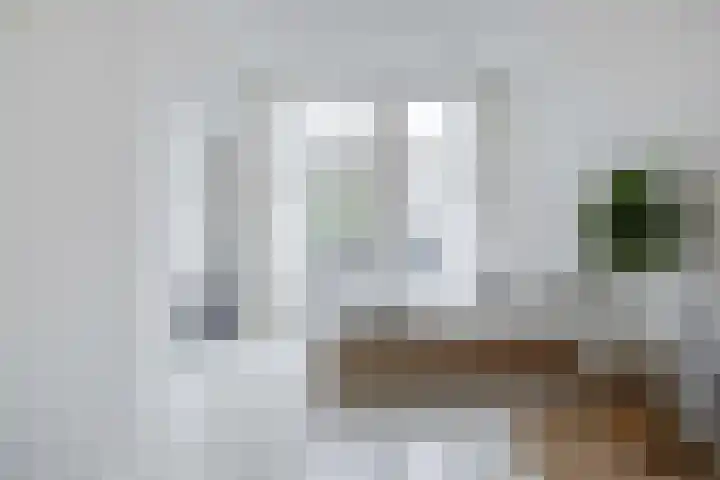 Zijlvest 17 Haarlem thumbnail 14