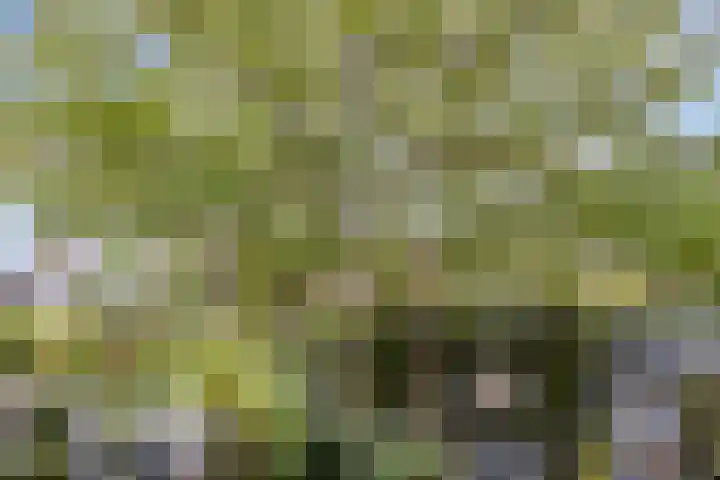 Zijlvest 17 Haarlem thumbnail 18