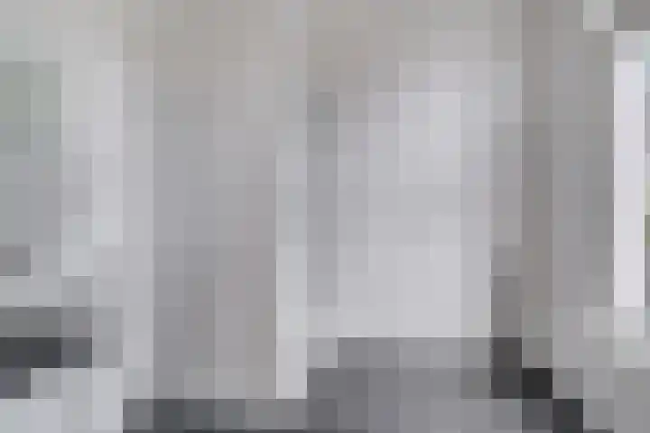 Zijlvest 17 Haarlem thumbnail 19