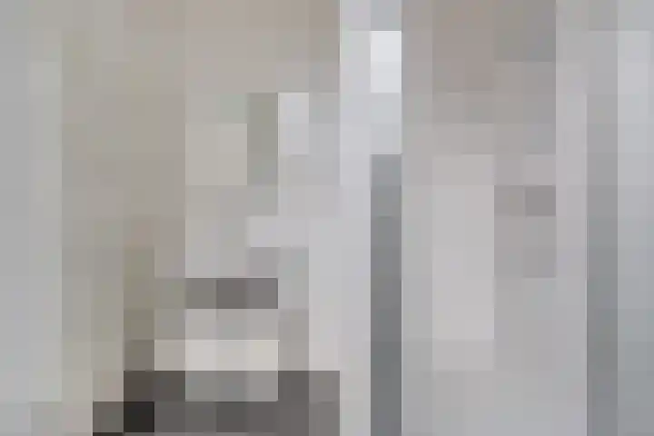 Zijlvest 17 Haarlem thumbnail 20